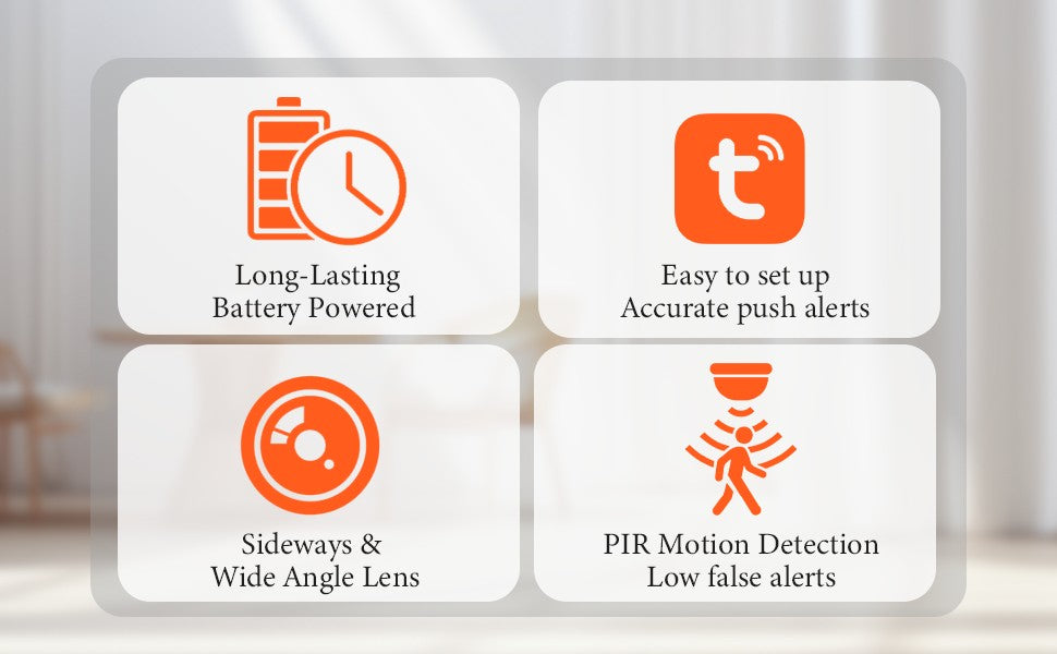 Smoke Alarm Wi-Fi Camera